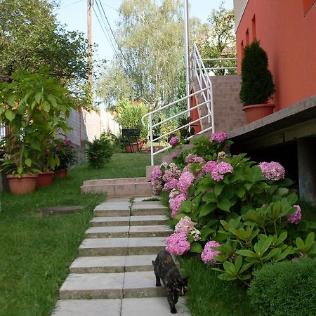 Eden Vendeghaz Hotel Miskolc Bagian luar foto