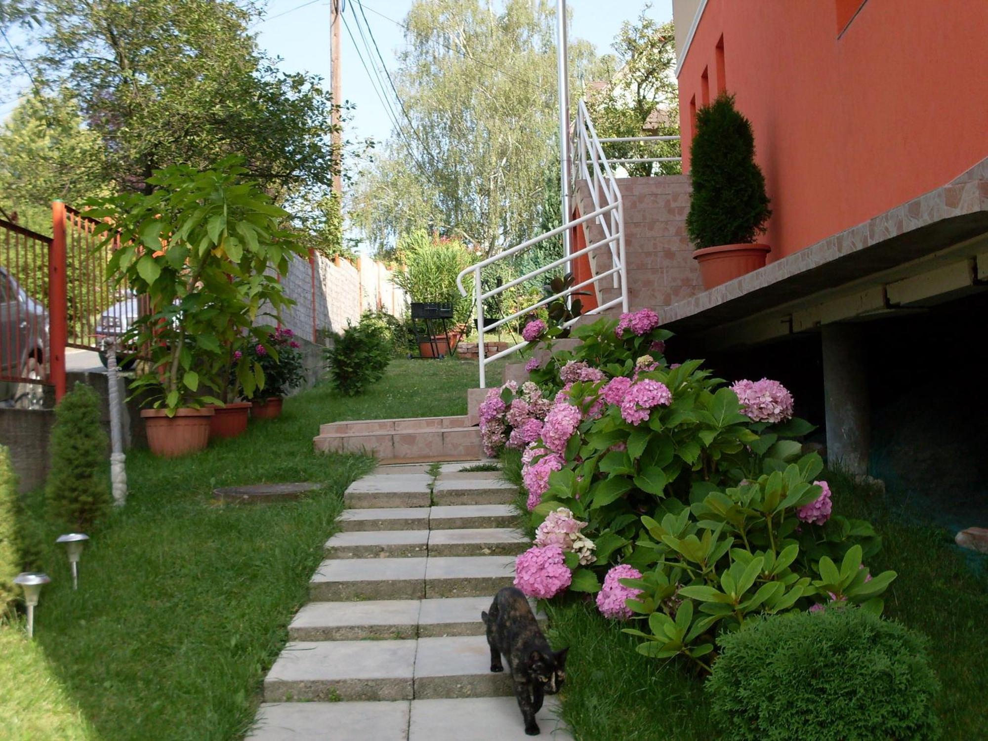 Eden Vendeghaz Hotel Miskolc Bagian luar foto