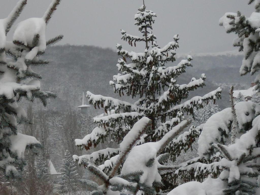 Eden Vendeghaz Hotel Miskolc Bagian luar foto